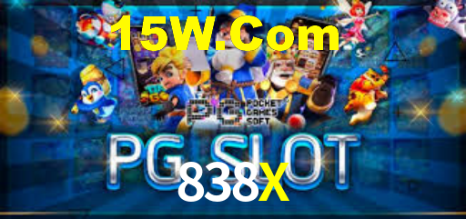 838X