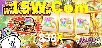 838X